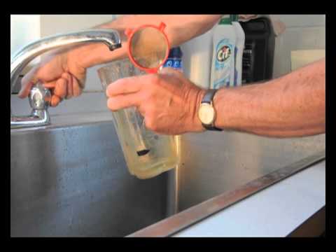 Strawberry breeding techniques - seed collection