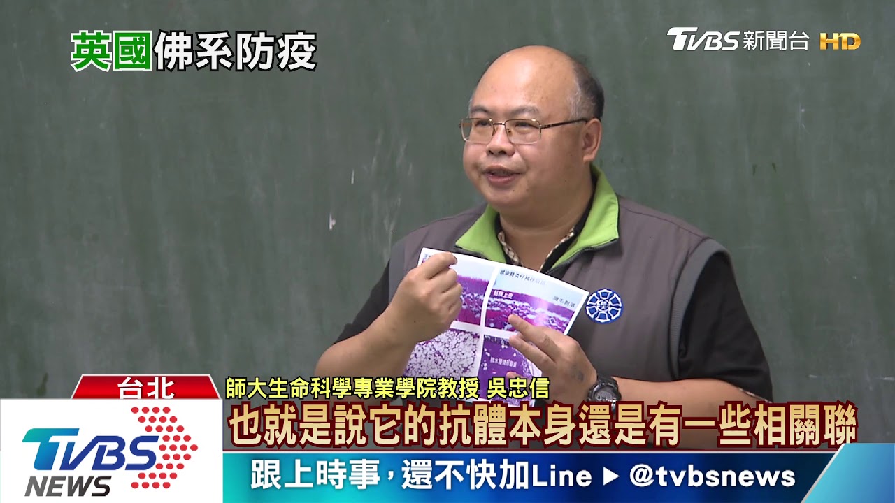 豬隻染台灣蝙蝠糞便病毒死亡 台師大:症狀似新冠肺炎