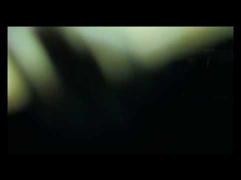 Black Horde - Alligator skin