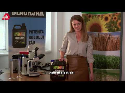 Beneficii BlackJak