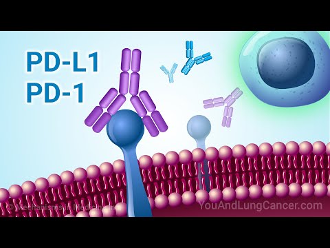 Understanding Immunotherapy for NSCLC with PD-1 and PD-L1 Biomarkers