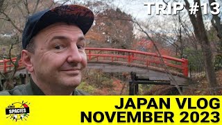 Japan VLog - November 2023