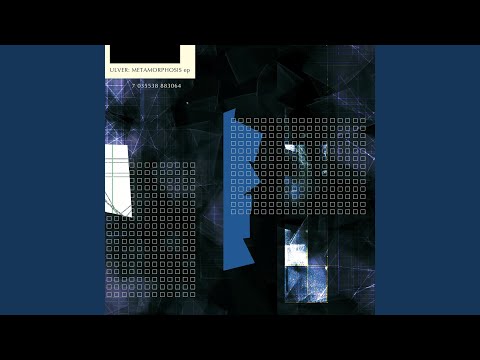 Video thumbnail for Of Wolves & Withdrawal