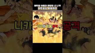 🔥미친 작화🔥해적왕 아들과 태양의 신 니카의 합동 탈출
