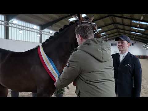 Dynamic Pur (Dynamic Dream x Finest x Dancier, *2021) Hengststation Rene Tebbel