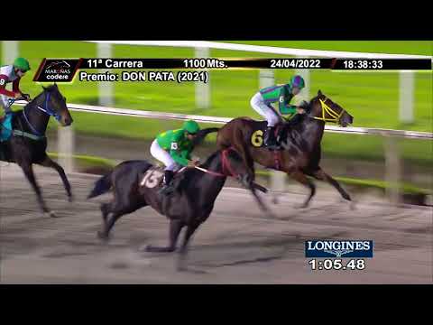 220424 c11 PLAYER ONE