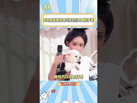 李昀锐直播出现孟子义狗打呼噜的声音#李昀锐#孟子义