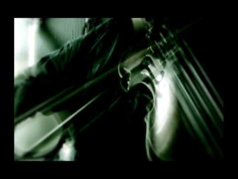 Presing - Buđenje u šibici