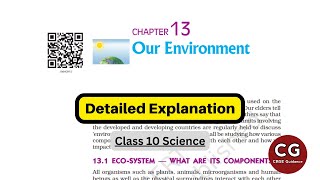 Our Environment Class 10: Simplified and Explained for Easy Understanding