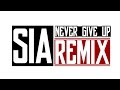 Sia - Never Give Up (REMIX) by Hype