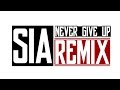 Sia Never Give Up REMIX By Hype