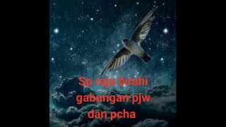 Download lagu sp raja birahi... mp3
