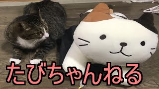 こっそりゲームする枠　バスターズやっか！