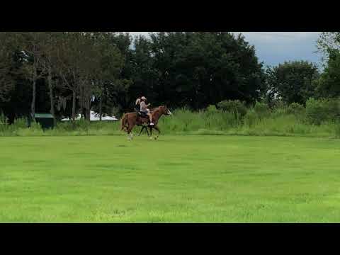 Leaving the stalls, heading to the trails