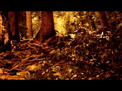 Vàli - Stein Og Bark [official music video]