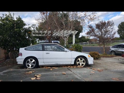 JUNKYARD RESCUED CRX 1: It Sat For 15 YEARS !