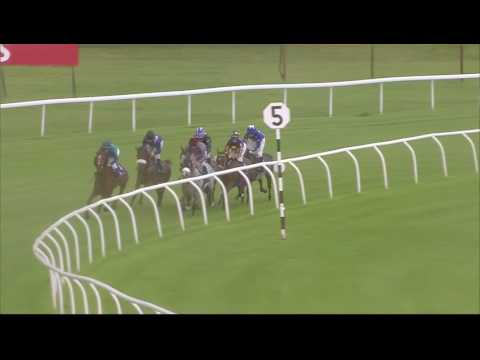 Shadwell Dubai International Stakes (Group 1 PA) Newbury 30th July - Race 6