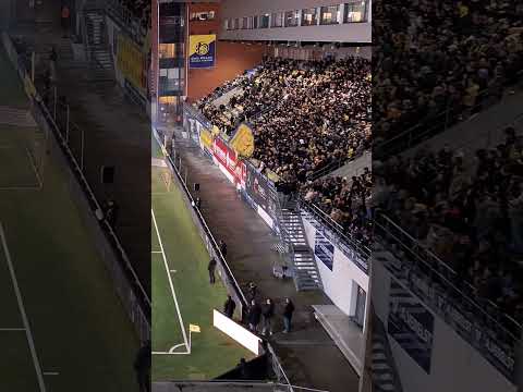 D-DAY STVV-GENK , Spionkop STVV tijdens de derby #stvv