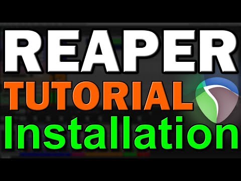 Reaper DAW Tutorial (Part 1) – Setup and Preferences
