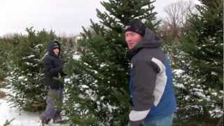 preview picture of video 'Cutting Our Own Christmas Tree - Rum River Tree Farm - Oak Grove, MN'