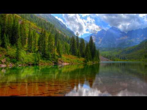 NatLife - Don't Kill The﻿ Nature