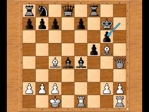 Fatalni Skakač u napadu na Kralja 🪅👑🪅 DIEMER vs REGELE # 2219