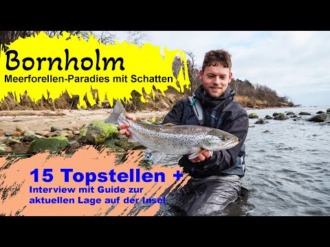 What's going on in Bornholm? A sea trout paradise with a downside.