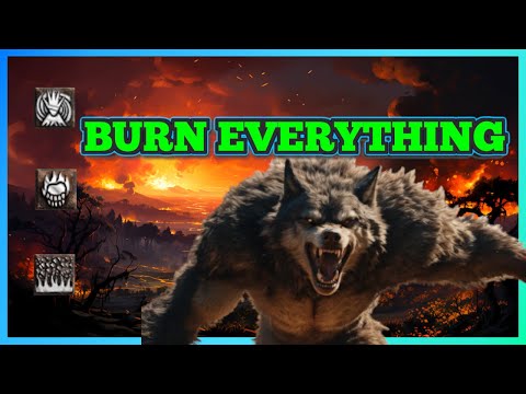 D2R | THE FIRE WOLF DRUID FULL BUILD GUIDE