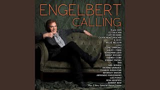 Make You Feel My Love (with Willie Nelson)