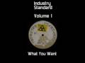 Industry Standard - What You Want (Somore I ...