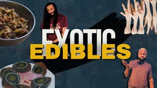 Curious Cuisines!  2nin w/ Cpt. Davenport (Episode 1)