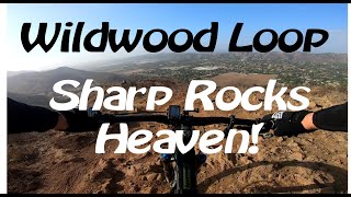 This loop includes Santa Rosa Trail, Shooting Star Trail, and Lizard Rock Trail.