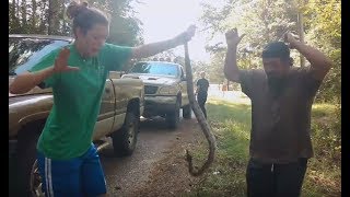 Rattle Snake Head Shot - BOOM!