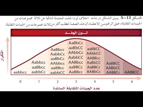 الأنماط الوراثية المعقدة -الجزء الثالث- بريدج