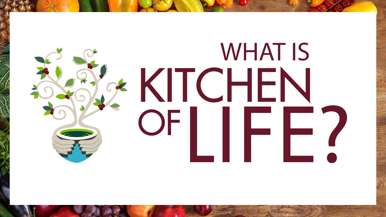 Kitchen of Life Business Intro Video