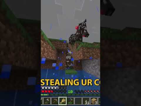 THE GREAT COW HEIST IN MINECRAFT |La Bella’s SMP|