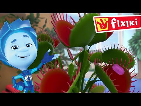 Desene cu Fixiki– Planta carnivoră - Desene animate educative pentru copii