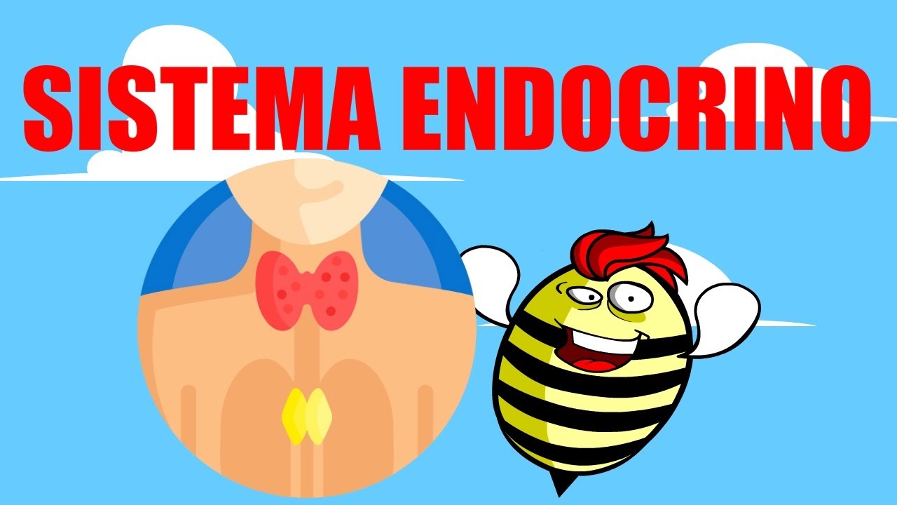 🟥SISTEMA ENDOCRINO 💚EXPLICADO FÁCIL🧠GLÁNDULAS Y HORMONAS🟥