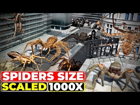 What If Spiders Grew 1000 Times Bigger? | Giant Spiders in the Modern World