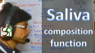 Saliva - enzymes in saliva