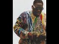 The Notorious B I G X You Can T Stop The Reign