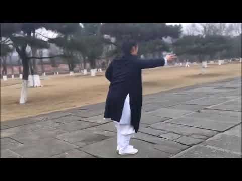 Learn Xing Yi Quan traditional form