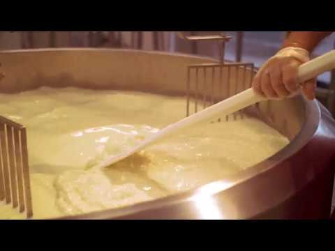 download lagu mp3 mp4 Walla Walla Cheese, download lagu Walla Walla Cheese gratis, unduh video klip Walla Walla Cheese