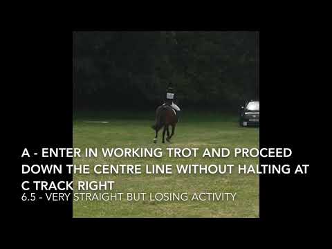 BE90 Dressage Test 96 (2016)