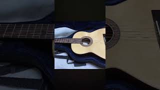 Download lagu クラシックギターで白鳥の湖 情景の練習動画#ギター #クラシックギター #弾いてみた mp3