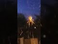 Big spider