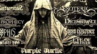 MY SILENT WAKE - Wilderness of Thorns - UK death/doom