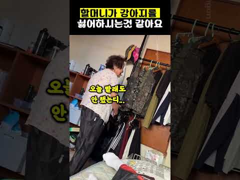 할머니 아까는 빨리 내다버리라고 했잖아