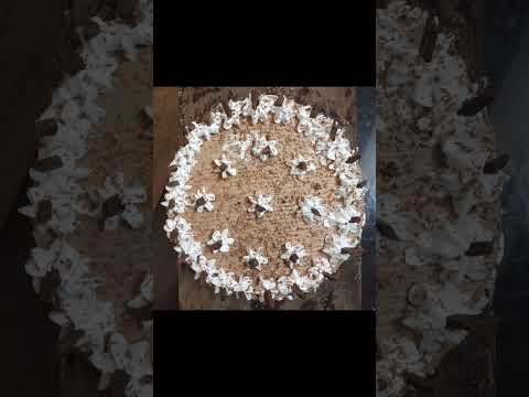 should I leave jee and start a bakery? just joking. I won't