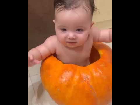 , title : 'Baby Sitting inside halloween pumpkin (Jack-o'-lantern)'